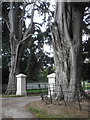 Main entrance, Cutsey House