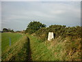 Trig Point #S7675 at Beacon Banks