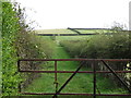 Field access lane off the Crew Road