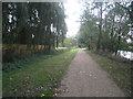 Footpath by the River Devon