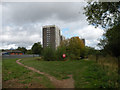 Oast House and friends