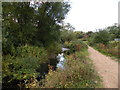 River Cole near Stechford