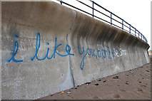 NU0150 : Graffiti at Spittal Beach by Walter Baxter
