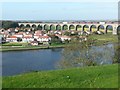 Royal Border Bridge