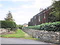 Grassy lane to the east of Trull Road