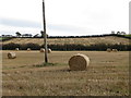 Straw bales in Tollumgrange Upper