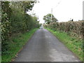 View north along Church Road in the Townland of Ballyedock