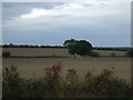 Farmland, Foulby