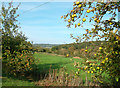 Towards Smith Hill Copse