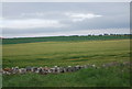NU2033 : Farmland by the B1340 by N Chadwick