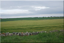 NU2033 : Farmland by the B1340 by N Chadwick