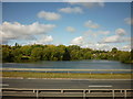 Holmer Lake from the A442, Queenway