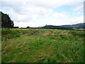 Cambuskenneth Abbey, remains