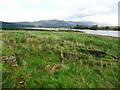 Cambuskenneth Abbey, remains [2]