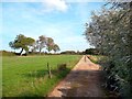 Track at Long Leys Farm