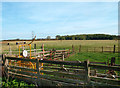 Weighing Machine in a Field