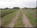 Farm track to Old Trent Lane