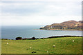 Pasture north of Kilchousland