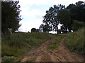 Footpath to Church Road