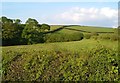 Fields near Dippy Copse