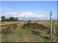 TM3643 : Footpath to Oxey Marshes by Geographer