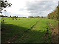 Field near Rothwell