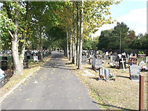 TQ3574 : Green Chain Walk in Camberwell New Cemetery by David Anstiss