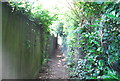 Footpath to Book Hurst Wood