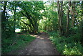 Footpath on the edge of Book Hurst Wood