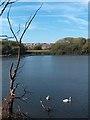 Catcliffe Flash Nature Reserve