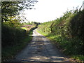 Country lane at Sherriffs Farm