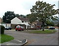 Tree at the corner of Ynys Lane and Fields View Road, Croesyceiliog, Cwmbran