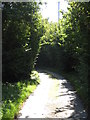 Herefordshire Trail near Upper Tan House