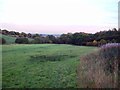 Footpath Skirting Hall Wood