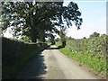 Lane at Twyford entrance