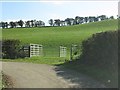 Hillside south of Hunton Bridge