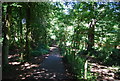 Footpath in Montreal Park