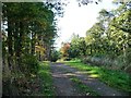 SE2810 : Track through Cawthorne Park Wood by Christine Johnstone