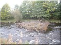 Forest flotsam in the River Deveron