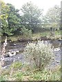 Deveron riverbank in autumn