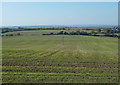 Open fields west of Winney Lane