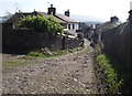 Back Lane, Grindleton