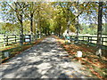 Driveway to Model Farm