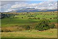 Fields above Todgill