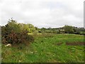 Tullynacree Townland