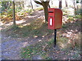 TM3446 : Tangham Forest Postbox by Geographer