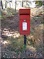 TM3446 : Tangham Forest Postbox by Geographer