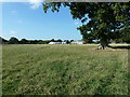 Pound Farm south of Shipley