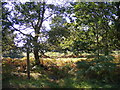 Footpath to Manor Farm