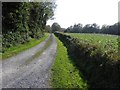 Lane, Ballygeegan